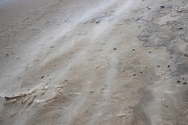 포토 JPG 해외이미지 주간 모래 바다 백그라운드 패턴 표면 바람 추상 사람없음 야외 거친 해외202009 해외포토 자연요소 무늬 날씨 파일형식