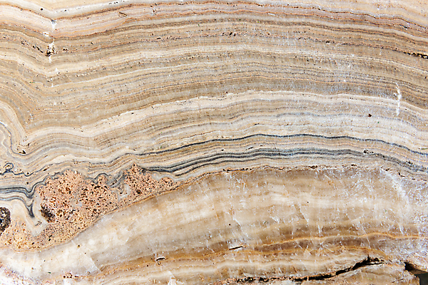 포토 JPG 해외이미지 디자인 외관 종이 벽 백그라운드 패턴 자연 벽지 표면 추상 바닥 주택 프레임 실내 미술 사람없음 내부 그래픽 장식 빛 공백 회색 골동품 바위 고급 우아함 매끈함 낟알 천 계산대 타일 묘사 질감 캔버스 대리석 내추럴 고체 그런지 지질학 화강암 효과 해외202009 해외포토 교육 컬러 컨셉 무늬 재료 문화예술 건물 암석 돌_바위 직물 감각 생태계 파일형식