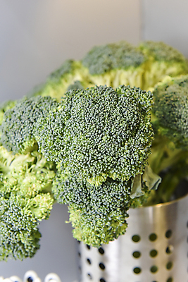 포토 JPG 해외이미지 음식 줄기 다이어트 채소 사람없음 초록색 금속 주방 신선 원형 은색 브로콜리 수집 계산대 묘사 건강식 해외202009 해외포토 도형 식물 컬러 재질 건강 파일형식