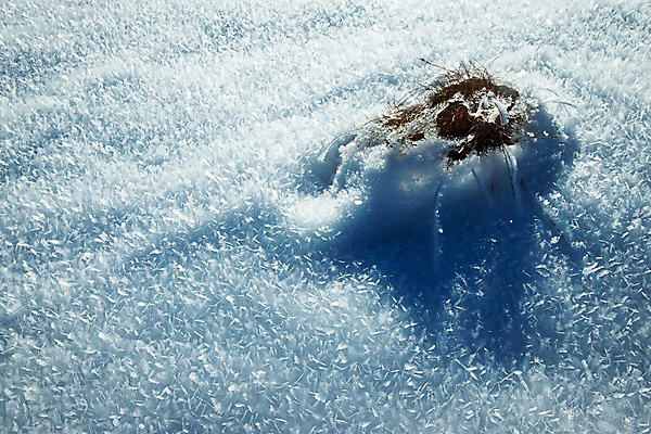 포토 JPG 해외이미지 디자인 계절 별 조각 백그라운드 크리스마스 겨울 패턴 자연 날씨 추상 휴가 전등 새로움 사람없음 장식 파란색 우주 냉동 얼음 추위 흰색 눈송이 12월 크리스탈 질감 서리 내추럴 진짜 폭설 눈내림 해외202009 해외포토 자연요소 기념일 컬러 컨셉 무늬 조명 눈_날씨 날짜 광석 자연재해 생태계 파일형식