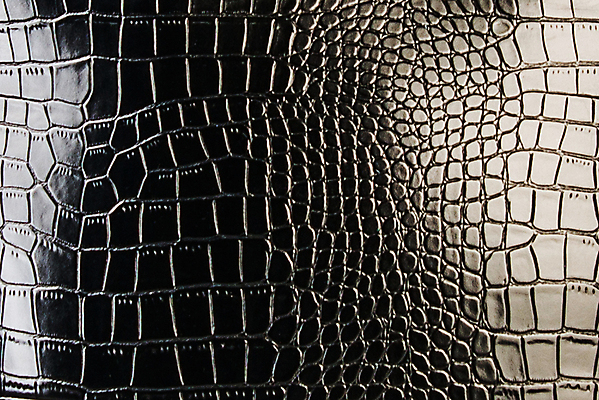 포토 JPG 해외이미지 아시아 호수 야생동물 파충류 아프리카 태국 사람없음 물 강 농장 머리 검은색 수영 힘 경쟁 연못 입 황무지 진화 치아 위험 라이벌 위협 사파리 피부 공룡 눈금 꼬리 사냥 도마뱀 육식동물 악어 사냥꾼 숨김 나쁜 몬스터 힘찬 해외202009 포악 해외포토 자연요소 동물 직업 나라 컬러 컨셉 농업 신체부위 수상스포츠 소화기관 소방 파일형식