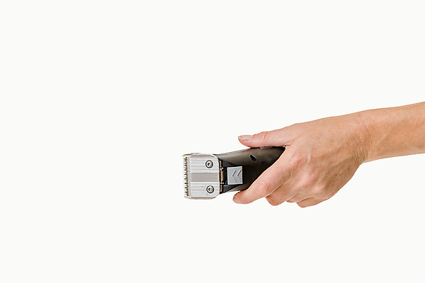 포토 JPG 해외이미지 백인 직업 손 여자 백그라운드 컨셉 부분 손가락 사람 손짓 성인 사람없음 반려동물 유행 장비 흰색 기구 공구 잡기 업무 오픈 자르기 피부 오브젝트 날카로움 몸단장 고립 해외202009 해외포토 서양인 동물 컬러 모션 신체부위 도구 작업 파일형식