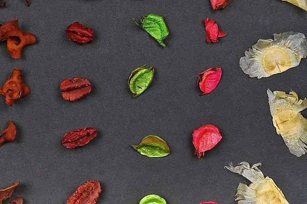 포토 JPG 해외이미지 전통 계절 백그라운드 잎 크리스마스 자연 주택 건조 사람없음 장식 빨간색 컬러풀 보라색 축제 활발 펼침 소나무 사발 닫기 혼합 자주색 향수 향기 솔방울 진홍색 아로마테라피 원뿔 강렬 꼬투리 해외202009 해외포토 도형 나무 식물 기념일 컬러 컨셉 모션 건물 화장품 사기그릇 생태계 냄새 테라피 파일형식