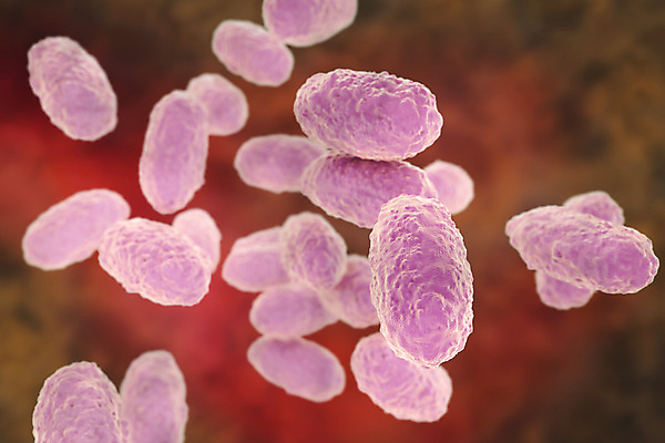 포토 JPG 해외이미지 일러스트 건강 사람없음 3D 고통 질병 감염 미생물 박테리아 해외202009 해외포토 감정 의학 생물 디지털합성 파일형식