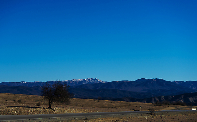 포토 JPG 해외이미지 나무 꽃 유럽 도로 여행 잎 자연 하늘 산 풍경 사람없음 목재 파란색 빛 태양 와인 맑음 봄 벚꽃 시골 개화 고속도로 통로 지역 스카이라인 통과 방법 옛날 조지아 카피스페이스 유일 해외202009 해외포토 자연요소 식물 계절 나라 길 컬러 재료 교통시설 날씨 주류 공백 생태계 동유럽 파일형식