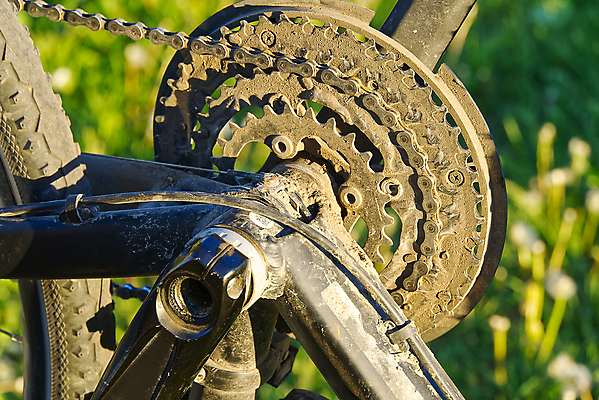 포토 JPG 해외이미지 백인 직업 라이프스타일 손 남자 산업 비즈니스 열쇠 노동자 프레임 사람 성인 사람없음 상점 자전거 장비 공구 디스크 업무 바퀴 작업실 수리 묘사 서비스 순환 타이어 고정 정비공 사이클링 기어 유지 깨짐 조이기 회복 해외202009 해외포토 서양인 컨셉 모션 생활 신체부위 바이크 도구 작업 기술자 질병 육상스포츠 파일형식