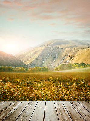 포토 JPG 해외이미지 식물 구름 계절 꽃 도로 길 백그라운드 밭 농업 자연 탁자 하늘 산 풍경 초원 사람없음 야외 목재 컬러풀 햇빛 태양 노란색 일출 맑음 침묵 일몰 봄 새벽 들꽃 벚꽃 전원 시골 신선 땅 내추럴 강렬 수평선 해외202009 해외포토 자연요소 나무 산업 컬러 가구 재료 교통시설 날씨 노을 소리 전기에너지 생태계 파일형식
