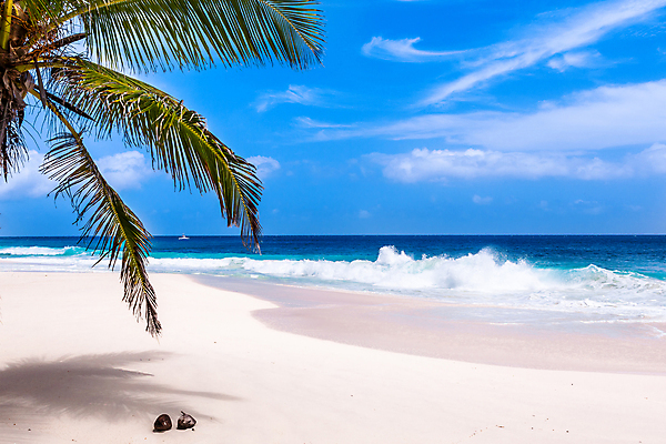 포토 JPG 해외이미지 나무 구름 모래 파도 바다 섬 여행 자연 하늘 휴가 휴식 손바닥 풍경 사람없음 물 여름 파란색 태양 맑음 바위 흰색 전원 만 휴양지 코코넛 석호 이국적 파라다이스 해외202009 해외포토 자연요소 식물 손 계절 컬러 컨셉 과일 날씨 장소 돌_바위 전기에너지 생태계 파일형식