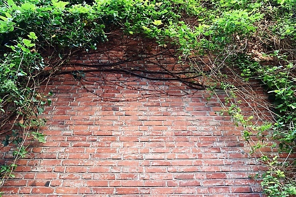 포토 JPG 해외이미지 디자인 벽 백그라운드 패턴 건축양식 벽지 표면 날씨 추상 벽돌 주택 돌담 사람없음 빨간색 갈색 어둠 블록 수확 시골 도시 거친 역사 닫기 타일 질감 복고 시멘트 고체 그런지 옛날 콘크리트 카피스페이스 해외202009 해외포토 건축 컬러 무늬 농업 모션 건물 담장 공백 돌_바위 파일형식