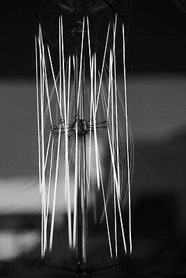 포토 JPG 해외이미지 디자인 산업 파도 줄기 과학 패턴 오렌지 전구 모션 불 미래 불꽃 아이디어 나선형 사람없음 내부 장식 빨간색 빛 노란색 환경 금속 힘 에너지 램프 뜨거움 황금 복고 발견 광 발명 블러 전압 현재 해외202009 해외포토 자연요소 식물 바다 컬러 컨셉 무늬 과일 재질 조명 파일형식