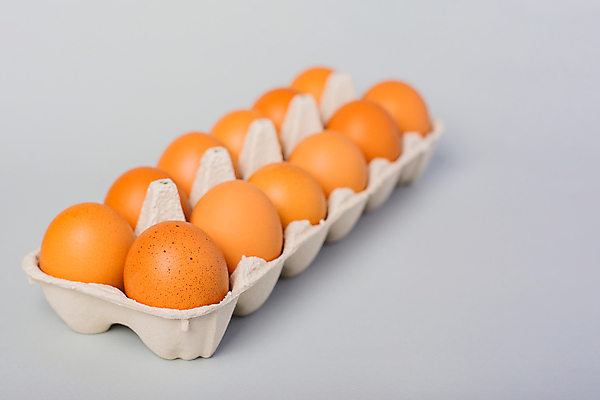 포토 JPG 해외이미지 음식 다이어트 오렌지 재료 건강 요리 사람없음 쇼핑 농장 노란색 마을 식사 치킨 회색 성장 시골 신선 아침식사 상품 컨테이너 먹기 유기농 날것 건강식 내추럴 단백질 밭일 생식 생태학 채식주의자 카피스페이스 해외202009 해외포토 웰빙 교육 산업 컬러 농업 과일 모션 공백 채식 닭고기요리 영양소 파일형식