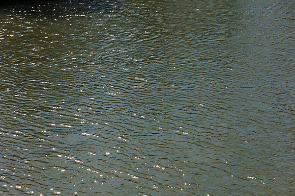 포토 JPG 해외이미지 아시아 얼굴 여행 자동차 휴가 거리 독일 가면 마스크 사람 동양인 사람없음 야외 여행객 걷기 일본 중국 고통 도시 오염 바이러스 보호 질병 예방 번짐 인플루엔자 전염병 해외202009 해외포토 감정 유럽 나라 육상교통 컨셉 의학 모션 인종 신체부위 파일형식 효과