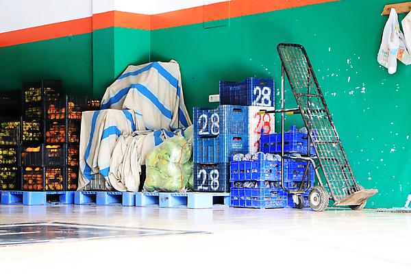 포토 JPG 해외이미지 채소 사람없음 파란색 상자 우주 화물 시장 해외202009 해외포토 컬러 운송업 파일형식