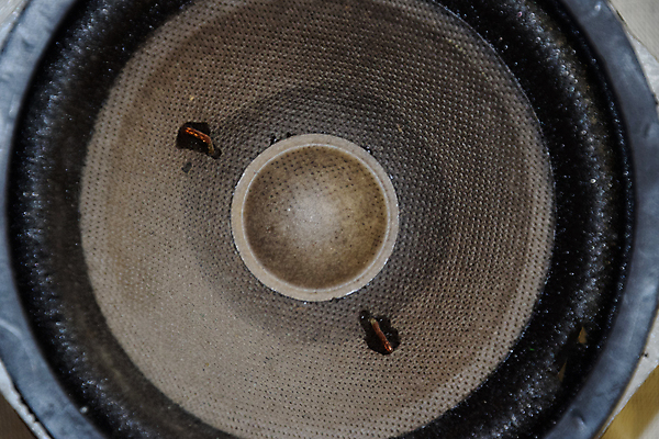 포토 JPG 해외이미지 직업 사람없음 장식 상자 바구니 확성기 소리 장비 수확 수리 보호 향수 오브젝트 전자 오디오 방송 시스템 시끄러움 스테레오 감싸기 리가 베이스 소비에트 소셜네트워크 시험공부 캡모자 힘찬 해외202009 해외포토 모자_잡화 컨셉 농업 모션 현악기 전자제품 학습 화장품 파일형식