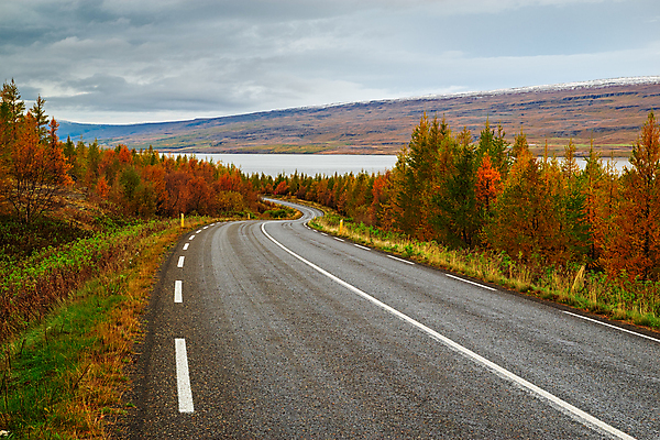 포토 JPG 해외이미지 나무 구름 도로 여행 잎 오렌지 자연 하늘 산 아이슬란드 풍경 사람없음 야외 가로 초록색 강 컬러풀 가을 숲 아스팔트 해외202009 해외포토 자연요소 식물 계절 유럽 길 컬러 과일 교통시설 생태계 파일형식
