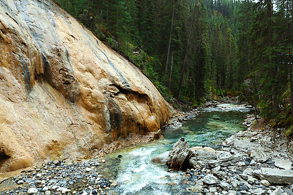 포토 JPG 해외이미지 나무 공원 여행 캐나다 자국 자연 휴가 산 풍경 사람없음 초록색 물 여름 강 골짜기 계곡 폭포 하이킹 활 밴프 앨버타 전국 터키석 해외202009 해외포토 자연요소 식물 계절 공공시설 컬러 북아메리카 레저 보석 생태계 파일형식