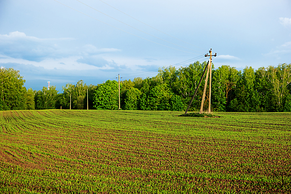 포토 JPG 해외이미지 식물 구름 계절 백그라운드 밭 농업 자연 추상 풍경 사람없음 여름 햇빛 마을 맑음 봄 전선 시골 해외202009 해외포토 자연요소 산업 무늬 날씨 태양 생태계 파일형식