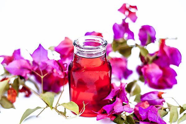 포토 JPG 해외이미지 식물 꽃 분홍색 백그라운드 컨셉 자연 휴식 건강 사람없음 목재 치료 초록색 수건 약 스파 목욕 화장품 흰색 물방울 신선 마사지 수분 허브 크림 유기농 소금 비누 로션 코르크 향 아로마테라피 테라피 내추럴 고립 돌봄 에센스 위생관리 추출 피튜니아 해외202009 해외포토 나무 웰빙 컬러 재료 의학 모션 관리 위생용품 뷰티 청결 생태계 파일형식