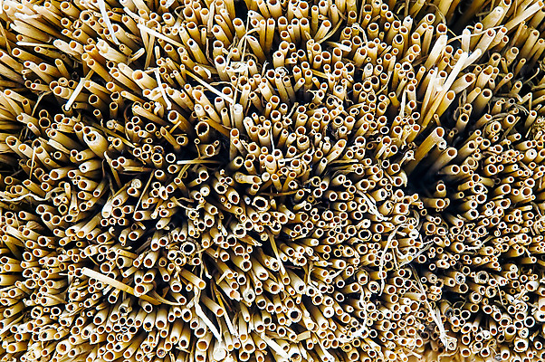 포토 JPG 해외이미지 나무 전통 벽 여행 건축양식 주택 여러명 사람없음 목재 울타리 농장 여행객 마을 수확 역사 공예 천 빌라 묘사 시골집 질감 밀짚 구식 옛날 우크라이나 해외202009 해외포토 식물 건축 유럽 다수 농업 재료 사람 취미 건물 담장 직물 짚 파일형식