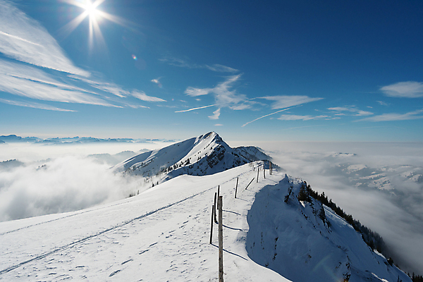 포토 JPG 해외이미지 나무 구름 계절 공원 도로 여행 크리스마스 겨울 밭 자연 아침 날씨 스키 산 파노라마 경사 사람없음 야외 파란색 빛 태양 얼음 새벽 하이킹 추위 흰색 시골 소나무 숲 언덕 빙하 서리 장면 천국 2월 방법 서쪽 설피 절정 눈내림 해외202009 해외포토 주간 자연요소 식물 공공시설 기념일 길 컬러 농업 교통시설 레저 겨울스포츠 눈_날씨 촬영기법 날짜 방향 생태계 파일형식