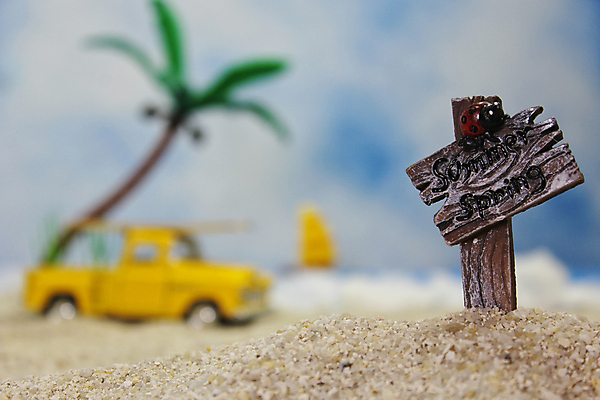 포토 JPG 해외이미지 나무 공원 모래 바다 섬 여행 백그라운드 컨셉 자연 하늘 휴가 조개 손바닥 풍경 사람없음 야외 초록색 물 여름 야자수 흙 봄 수확 바 서핑 사인 복고 단절 해외202009 해외포토 자연요소 식물 손 계절 공공시설 컬러 농업 어패류 수상스포츠 생태계 파일형식