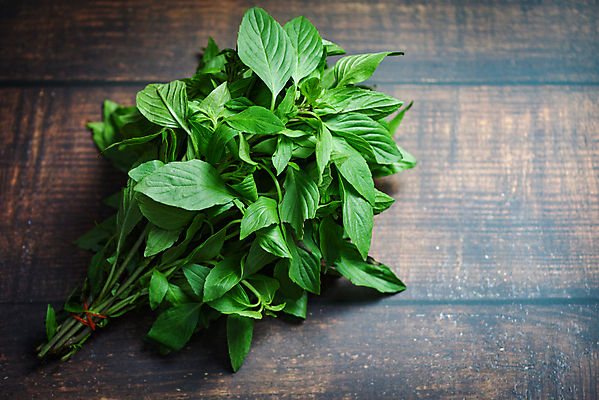 포토 JPG 해외이미지 식물 꽃 음식 줄기 백그라운드 잎 농업 채소 재료 태국 자연 탁자 건강 요리 사람없음 야외 목재 초록색 농작물 약 농장 정원 보라색 흰색 신선 양념 맛 다발 민트 허브 향신료 유기농 매움 날것 향 바질 내추럴 페스토 해외202009 해외포토 나무 웰빙 산업 아시아 컬러 가구 컨셉 의학 소스_음식 생태계 향미료 파일형식