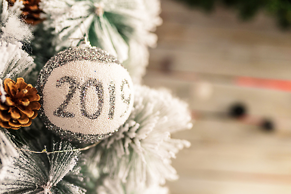 포토 JPG 해외이미지 나무 전통 디자인 계절 행복 백그라운드 크리스마스 겨울 공 자연 추상 휴가 전등 새로움 기념 사람없음 장식 빨간색 초록색 컬러풀 활발 기쁨 축하 소나무 황금 우아함 소프트포커스 12월 연도 보케 전나무 강렬 여의주 해외202009 해외포토 식물 기념일 감정 컬러 컨셉 무늬 조명 촬영기법 날짜 생태계 파일형식