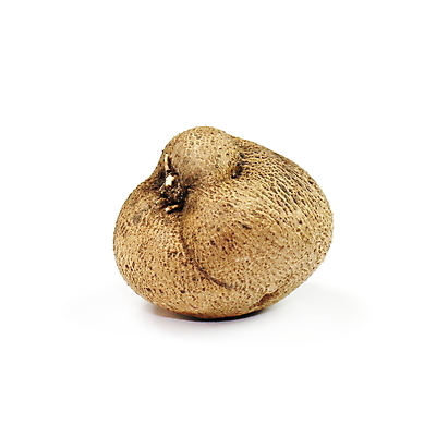 포토 JPG 해외이미지 식물 음식 농업 채소 재료 자연 건강 사람없음 물 갈색 견과류 껍질 흰색 신선 그룹 자르기 유기농 날것 뿌리 슛 호두 내추럴 고립 이국적 못생김 해외202009 해외포토 자연요소 웰빙 산업 컬러 모션 생태계 파일형식