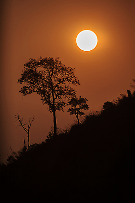 포토 JPG 해외이미지 나무 구름 도로 여행 백그라운드 자연 하늘 아침 날씨 추상 불꽃 산 파노라마 아이슬란드 풍경 사람없음 야외 목재 초록색 여름 파란색 빛 햇빛 태양 일출 맑음 일몰 봄 에너지 광선 흰색 뜨거움 황금 숲 땅 천국 내추럴 해외202009 해외포토 주간 자연요소 식물 계절 유럽 길 컬러 무늬 재료 교통시설 불 촬영기법 노을 생태계 파일형식