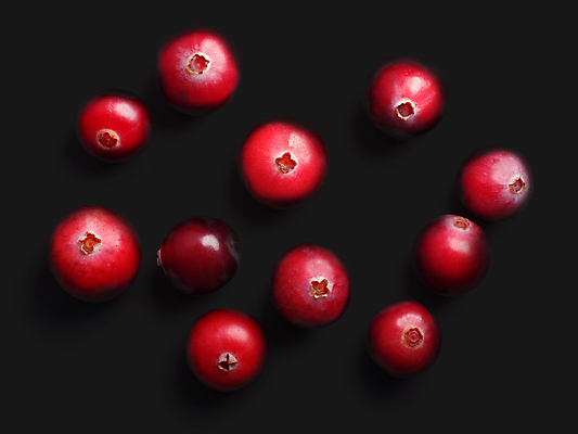 포토 JPG 해외이미지 열매 음식 과일 사람없음 빨간색 검은색 정상 머리위 고립 크랜베리 많음 해외202009 해외포토 식물 컬러 컨셉 파일형식