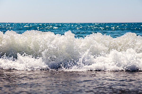 포토 JPG 해외이미지 모래 파도 바다 백그라운드 자연 조류 표면 휴가 해변 사람없음 물 파란색 빛 모래사장 거품 액체 떨어짐 질감 부드러움 해외202009 해외포토 자연요소 동물 컬러 컨셉 감각 생태계 파일형식