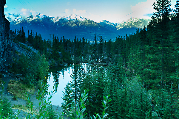 포토 JPG 해외이미지 나무 계절 공원 호수 여행 백그라운드 캐나다 자국 자연 하늘 풍경 사람없음 야외 초록색 물 여름 강 반사 암초 앨버타 하이커 해외202009 해외포토 자연요소 식물 공공시설 컬러 북아메리카 생태계 파일형식