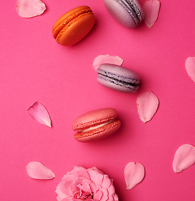 포토 JPG 해외이미지 꽃잎 꽃 근접촬영 사람없음 달콤 마카롱 분홍색배경 해외202009 해외포토 식물 뷰포인트 분홍색 백그라운드 디저트 맛 파일형식