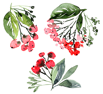 포토 JPG 해외이미지 식물 디자인 계절 열매 꽃잎 꽃 줄기 꽃다발 잎 꽃무늬 일러스트 자연 수채화 미술 초원 사람없음 장식 빨간색 초록색 여름 장미 정원 화환 낭만 수확 벚꽃 흰색 나뭇가지 인사 붓 신용카드 허브 그림 초대 양귀비 정교 그리너리 해외202009 해외포토 나무 컬러 컨셉 무늬 농업 문화예술 금융 예절 생태계 파일형식 트랜드컬러