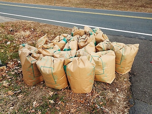 포토 JPG 해외이미지 잎 가방 잔디 사람없음 유지 해외202009 해외포토 식물 잡화 파일형식