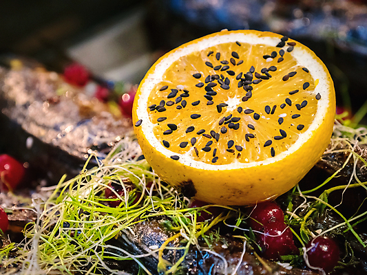 포토 JPG 해외이미지 접시 음식 바다 백그라운드 다이어트 채소 부분 건강 어류 요리 씨앗 사람없음 장식 초록색 주방 식당 식사 저녁식사 튀김 흰색 신선 고명 그릴 굽기 먹기 레몬 허브 해산물 향신료 준비 유기농 깨 후추 로즈메리 내추럴 베이스 송어 유일 맛있는 해외202009 해외포토 식물 식기 웰빙 컬러 과일 식재료 모션 주방용품 현악기 상점 수중동물 조미료 구이 향미료 파일형식