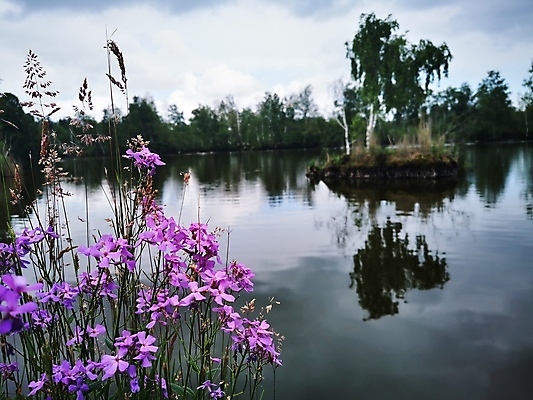 포토 JPG 해외이미지 나무 구름 응시 계절 공원 여행 자연 휴가 파노라마 갈대 사람없음 야외 초록색 물 여름 파란색 봄 하이킹 시골 숲 장면 천국 보호구역 해외202009 해외포토 자연요소 식물 시선 공공시설 컬러 레저 촬영기법 생태계 구역 파일형식