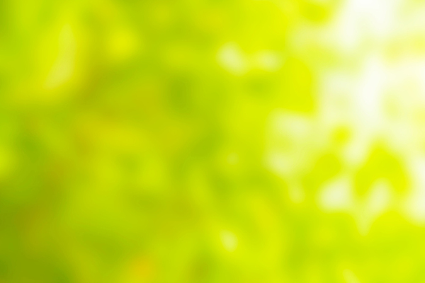 포토 JPG 해외이미지 모양 나무 디자인 계절 공원 백그라운드 컨셉 패턴 자연 벽지 추상 휴가 풍경 사람없음 야외 초록색 여름 빛 컬러풀 햇빛 태양 노란색 환경 봄 흰색 도시 원형 상품 소프트포커스 숲 질감 보케 부드러움 내추럴 블러 효과 해외202009 우호적 해외포토 자연요소 도형 식물 공공시설 컬러 무늬 촬영기법 감각 생태계 파일형식