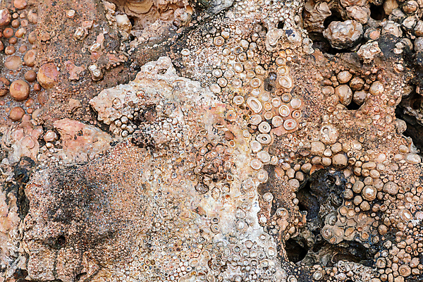 포토 JPG 해외이미지 모양 전통 디자인 바다 백그라운드 컨셉 패턴 자연 벽지 표면 추상 사람없음 야외 장식 빛 강 태양 쌓기 정원 검은색 회색 조약돌 흰색 원형 거친 닫기 매끈함 작음 묘사 질감 내추럴 고립 해외202009 해외포토 자연요소 도형 컬러 무늬 모션 돌_바위 감각 크기 생태계 파일형식