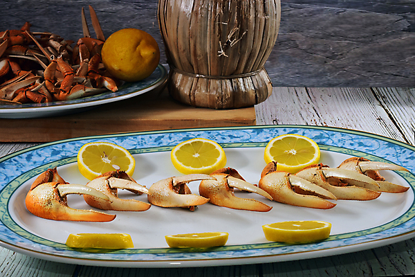 포토 JPG 해외이미지 동물 전통 음식 바다 조각 다이어트 조개 건강 갑각류 요리 사람없음 식당 게 껍질 신선 스페인 맛 지중해 레몬 해산물 준비 내추럴 발톱 삶기 식품점 안달루시아 집게발 핸드메이드 맛있는 해외202009 해외포토 유럽 컨셉 과일 발 어패류 상점 파일형식