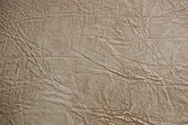 포토 JPG 해외이미지 아시아 호수 야생동물 파충류 아프리카 태국 사람없음 물 강 농장 머리 검은색 수영 힘 경쟁 연못 입 황무지 진화 치아 위험 라이벌 위협 사파리 피부 공룡 눈금 꼬리 사냥 도마뱀 육식동물 악어 사냥꾼 숨김 나쁜 몬스터 힘찬 해외202009 포악 해외포토 자연요소 동물 직업 나라 컬러 컨셉 농업 신체부위 수상스포츠 소화기관 소방 파일형식