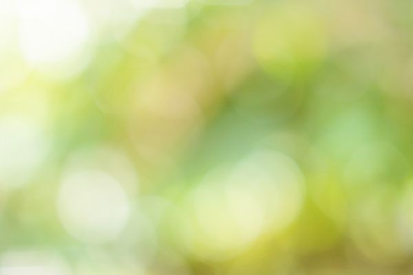 포토 JPG 해외이미지 식물 외관 공원 백그라운드 잎 꽃무늬 밭 자연 추상 사람없음 야외 초록색 컬러풀 햇빛 태양 노란색 맑음 일몰 소프트포커스 숲 보케 자연백그라운드 내추럴 동물상 밭일 해외202009 해외포토 자연요소 공공시설 꽃 컬러 무늬 농업 날씨 촬영기법 조형물 노을 생태계 파일형식