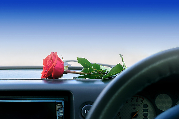 포토 JPG 해외이미지 식물 꽃 행복 도로 분홍색 꽃다발 백그라운드 교통시설 자동차 유리 휴가 실내 발렌타인데이 선물 사랑 경사 사람없음 내부 장식 빨간색 장미 공백 낭만 축하 판넬 바퀴 고급 심볼 사인 주기 계기판 자동 테마 해외202009 해외포토 감정 길 육상교통 컬러 교통 컨셉 모션 데이이벤트 재질 시설 파일형식