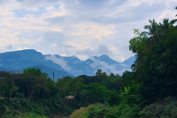 포토 JPG 해외이미지 아시아 자연 산 풍경 사람없음 초록색 안개 열대우림 생태계 라오스 열대기후 해외202009 해외포토 나라 컬러 날씨 숲 파일형식