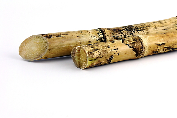 포토 JPG 해외이미지 식물 산업 음료 음식 줄기 조각 백그라운드 농업 재료 자연 지팡이 디저트 건조 건강 요리 사람없음 초록색 갈색 노란색 주스 수확 흰색 신선 닫기 달콤 설탕 자르기 허브 날것 섬유 내추럴 고립 넘어짐 식용 화상 사탕수수 해외202009 해외포토 컬러 모션 직물 맛 상처 생태계 파일형식