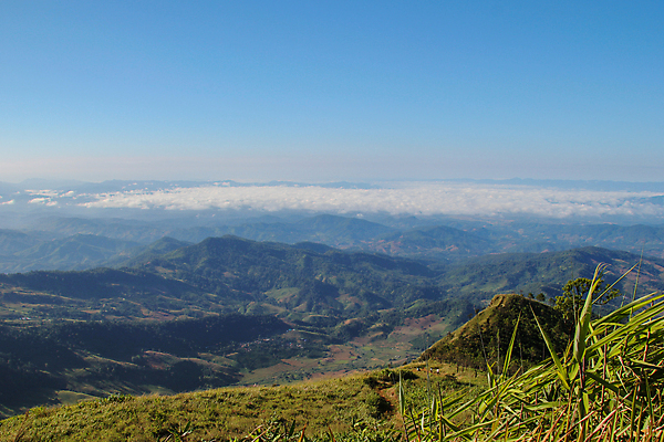 포토 JPG 해외이미지 나무 식물 구름 공원 아시아 도로 여행 백그라운드 잎 밭 태국 자연 하늘 아침 산 파노라마 풍경 초원 사람없음 야외 목재 초록색 여름 파란색 햇빛 태양 환경 계곡 중국 봄 안개 가을 시골 숲 땅 언덕 장면 포인트 내추럴 생태학 해외202009 해외포토 주간 자연요소 계절 공공시설 교육 나라 길 컬러 농업 재료 교통시설 날씨 촬영기법 금융 생태계 파일형식