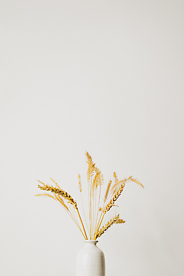 포토 JPG 해외이미지 모양 식물 디자인 꽃 잎 꽃무늬 벽지 주택 프레임 미술 사람없음 그래픽 장식 여름 노란색 꽃병 봄 공백 수확 신용카드 화려 시리얼 밀 오브젝트 질감 복고 부드러움 내추럴 그런지 엘리먼트 카피스페이스 국경 부족함 해외202009 해외포토 계절 음식 컬러 컨셉 무늬 농업 문화예술 곡류 건물 금융 감각 파일형식