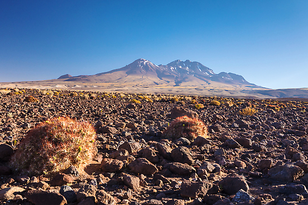 포토 JPG 해외이미지 동물 여행 백그라운드 자연 하늘 산 건조 풍경 사람없음 야외 빨간색 초록색 여름 계곡 미국 일몰 사막 남아메리카 화산 칠레 남쪽 볼리비아 전국 해외202009 해외포토 계절 컬러 북아메리카 아메리카 노을 방향 생태계 파일형식