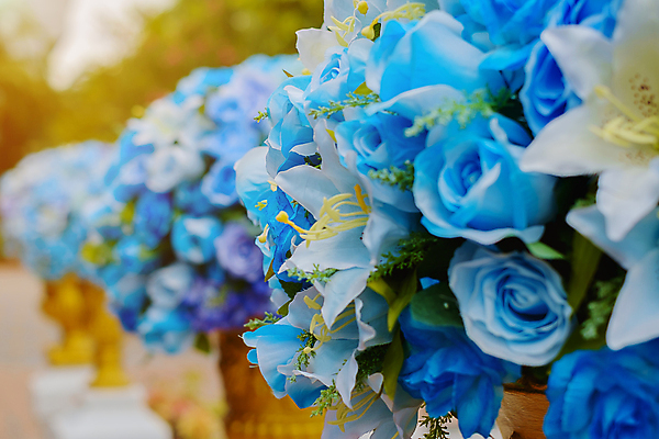 포토 JPG 해외이미지 식물 디자인 꽃잎 꽃 행복 꽃다발 결혼 백그라운드 잎 꽃무늬 패턴 자연 벽지 결혼식 휴가 기념 발렌타인데이 사랑 사람없음 장식 초록색 파란색 컬러풀 장미 보라색 봄 낭만 벚꽃 흰색 축하 신선 닫기 달콤 다발 제비꽃 약혼 내추럴 인공 해외202009 해외포토 계절 감정 컬러 컨셉 무늬 모션 데이이벤트 이벤트 맛 생태계 약속 파일형식