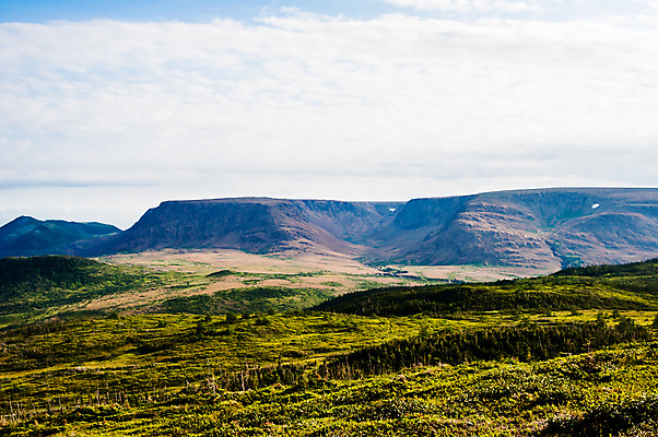 포토 JPG 해외이미지 나무 공원 캐나다 자연 산 건조 풍경 사람없음 야외 초록색 갈색 환경 계곡 절벽 황무지 숲 언덕 부식 산등성이 지역 암초 멀리 흐림 내추럴 지질학 살균 해외202009 해외포토 식물 공공시설 교육 컬러 북아메리카 날씨 생태계 파일형식